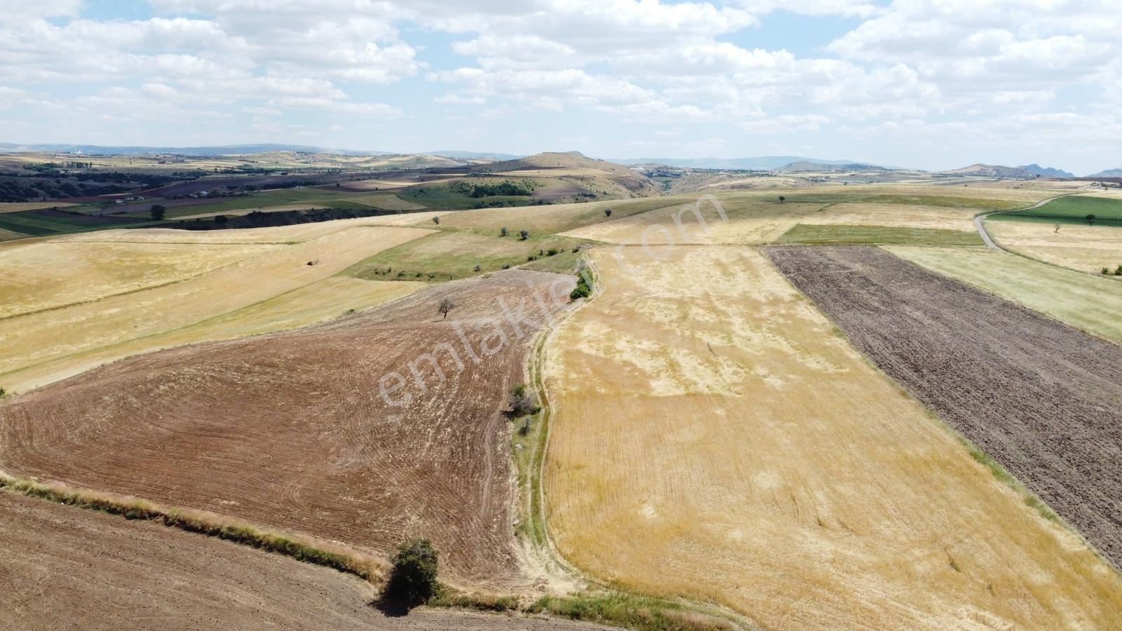 *-peçenek Te 295 Metre Tapulu Manzaralı Uygun Bahçe-*
