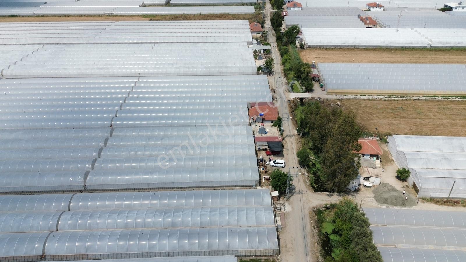 Ova Mahallesi 1.parselde Satılık 3200 M2 Sera Ve İşçi Evi - Görsel 11