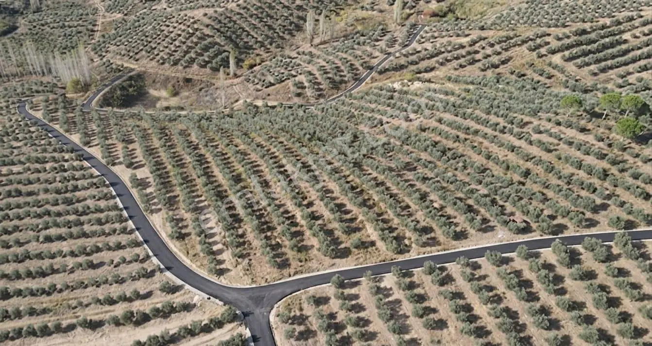 Rw Nest'ten Sarıcakaya Beyköy'de 2376 M2 Satılık Tarla