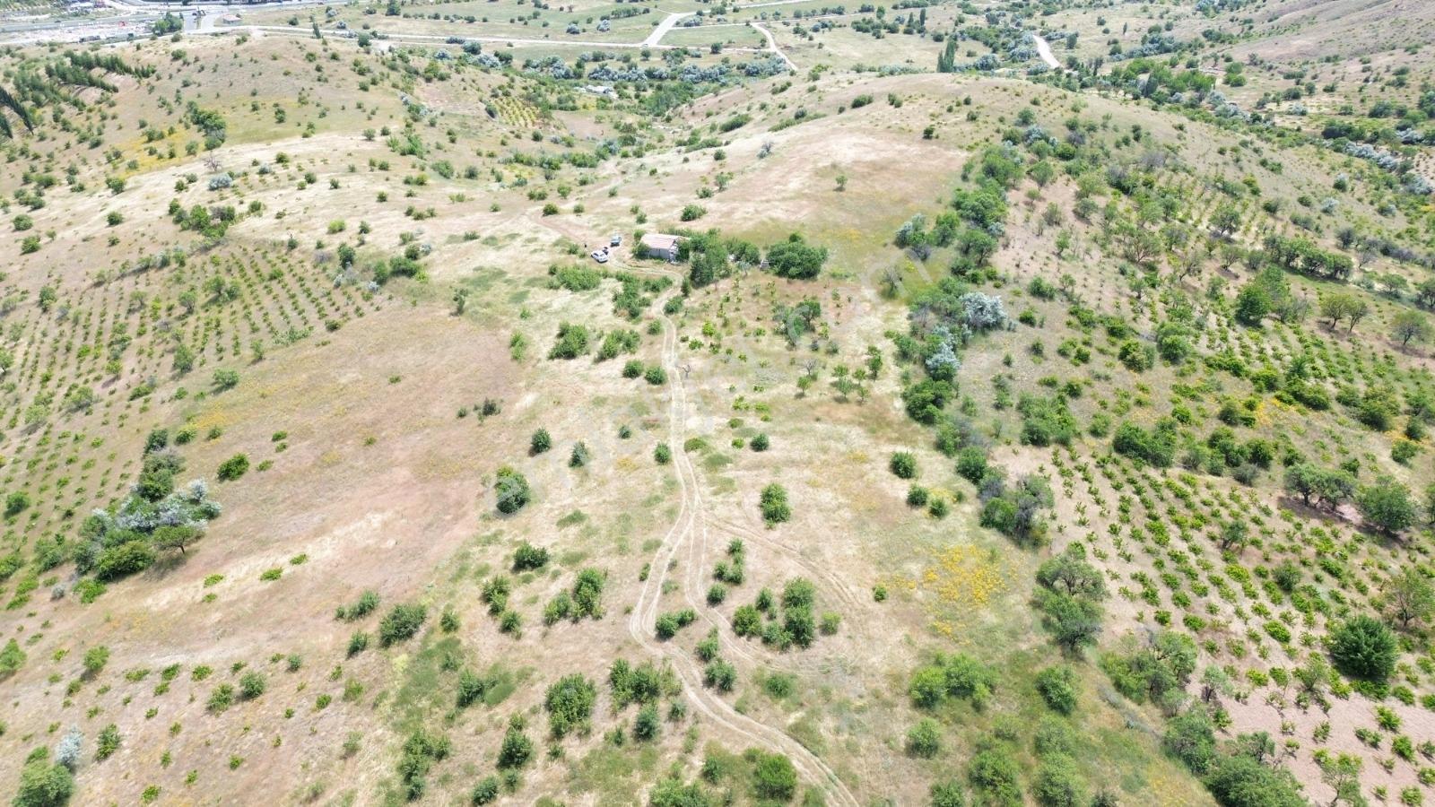 Nevşehir Güzelyurt Mah.de 5.753 M² Yatırımlık Fırsat Arazi - Görsel 13