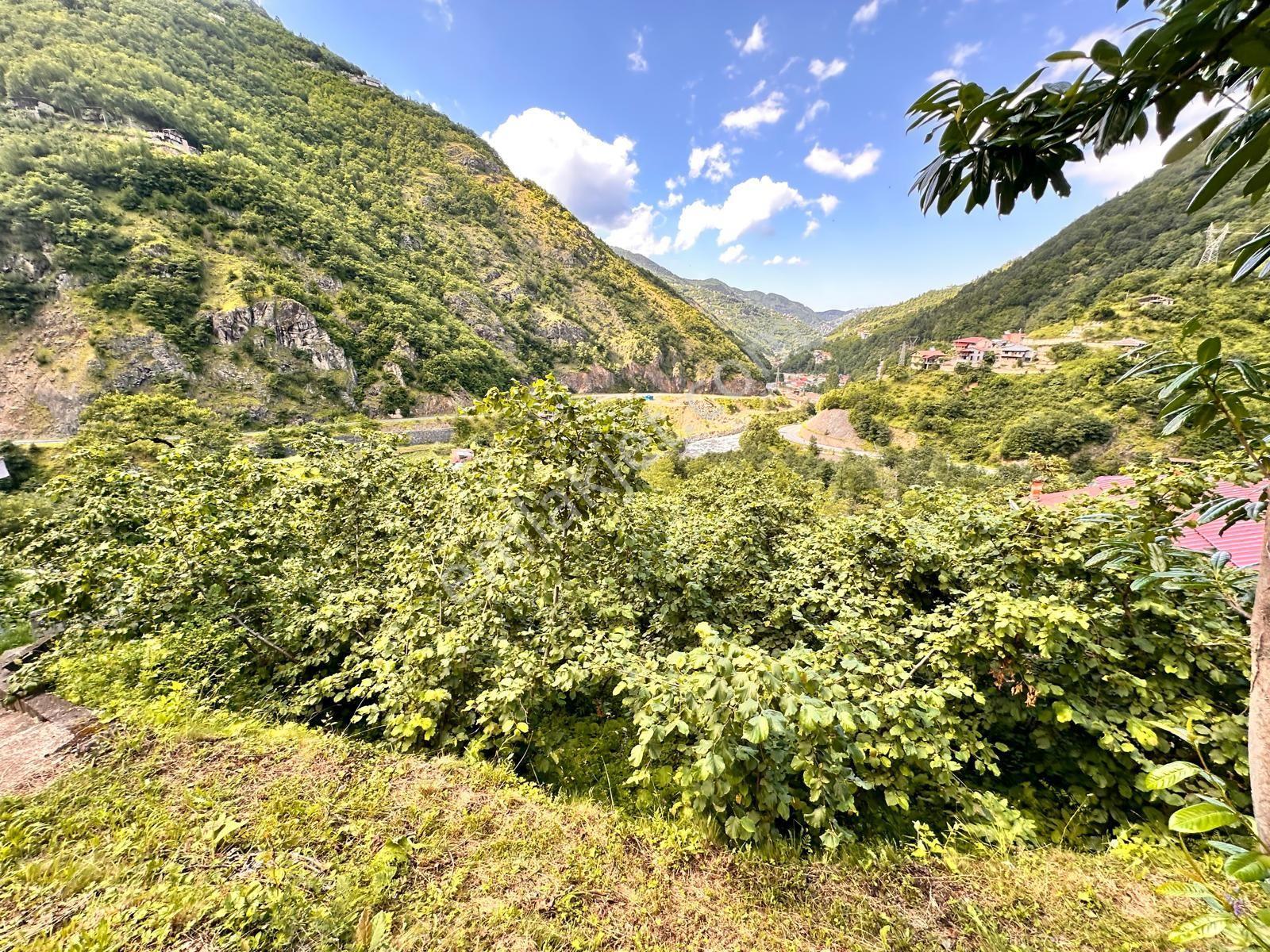 Trabzon Çaykara'da Satılık Arazi - Görsel 26