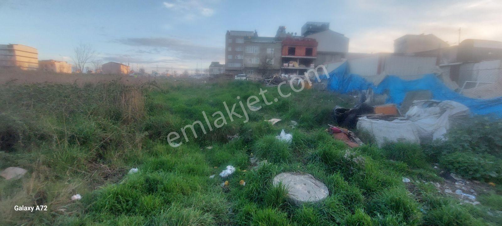 Arnavutköy De İmarlı İfrazlı Müstakil Arsa - Görsel 6