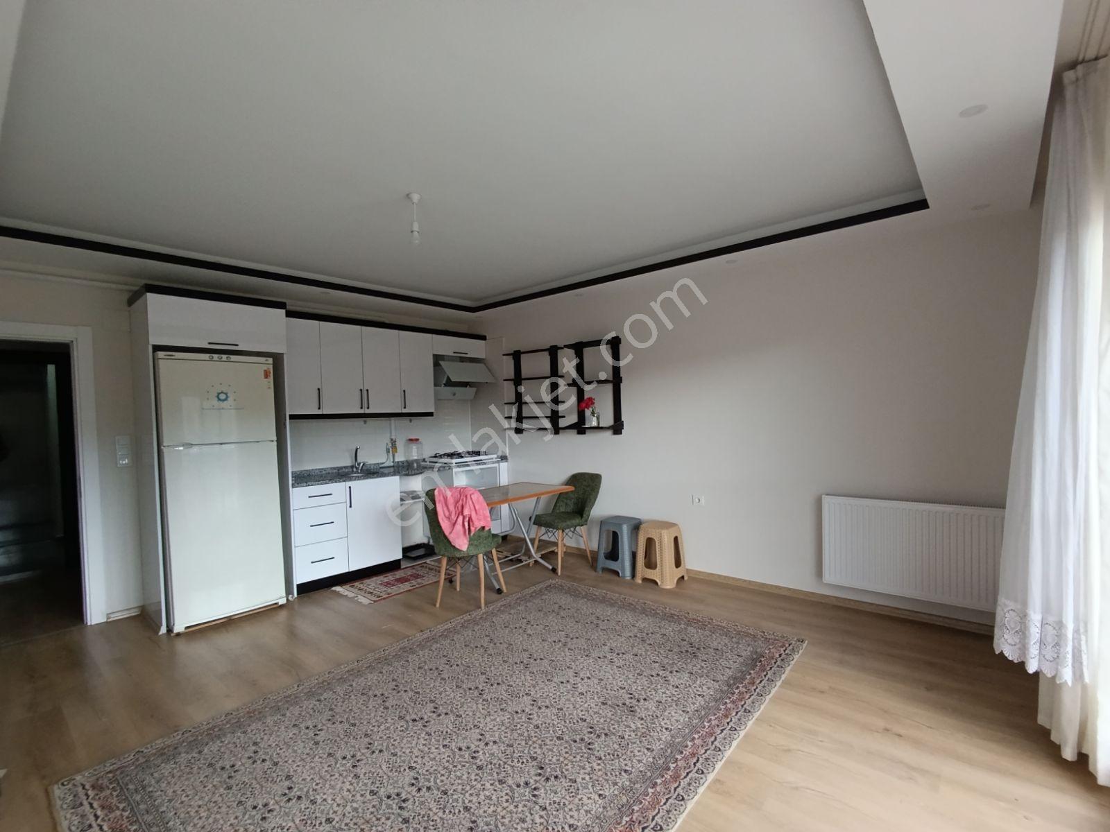Ünye Yunusemre Mah 1+1 Asansörlü Kiralık Daire - Görsel 2