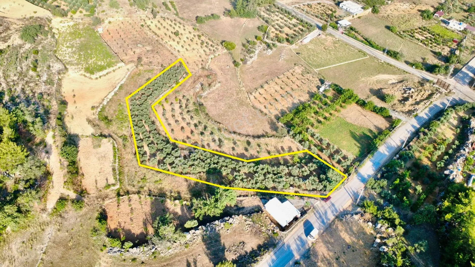 Alanya Saburlarda Asfalta Sıfır Satılık 2.161 M2 Zeytin Bahçesi - Görsel 13