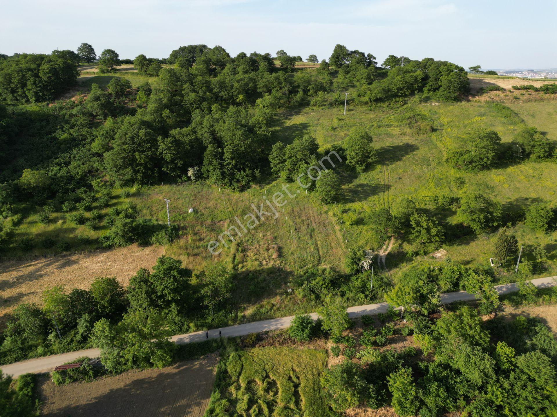 Kaynarca'da Sahile 40 Dk. Mesafede %40 Köy İçi İmarlı 937m2 Arsa