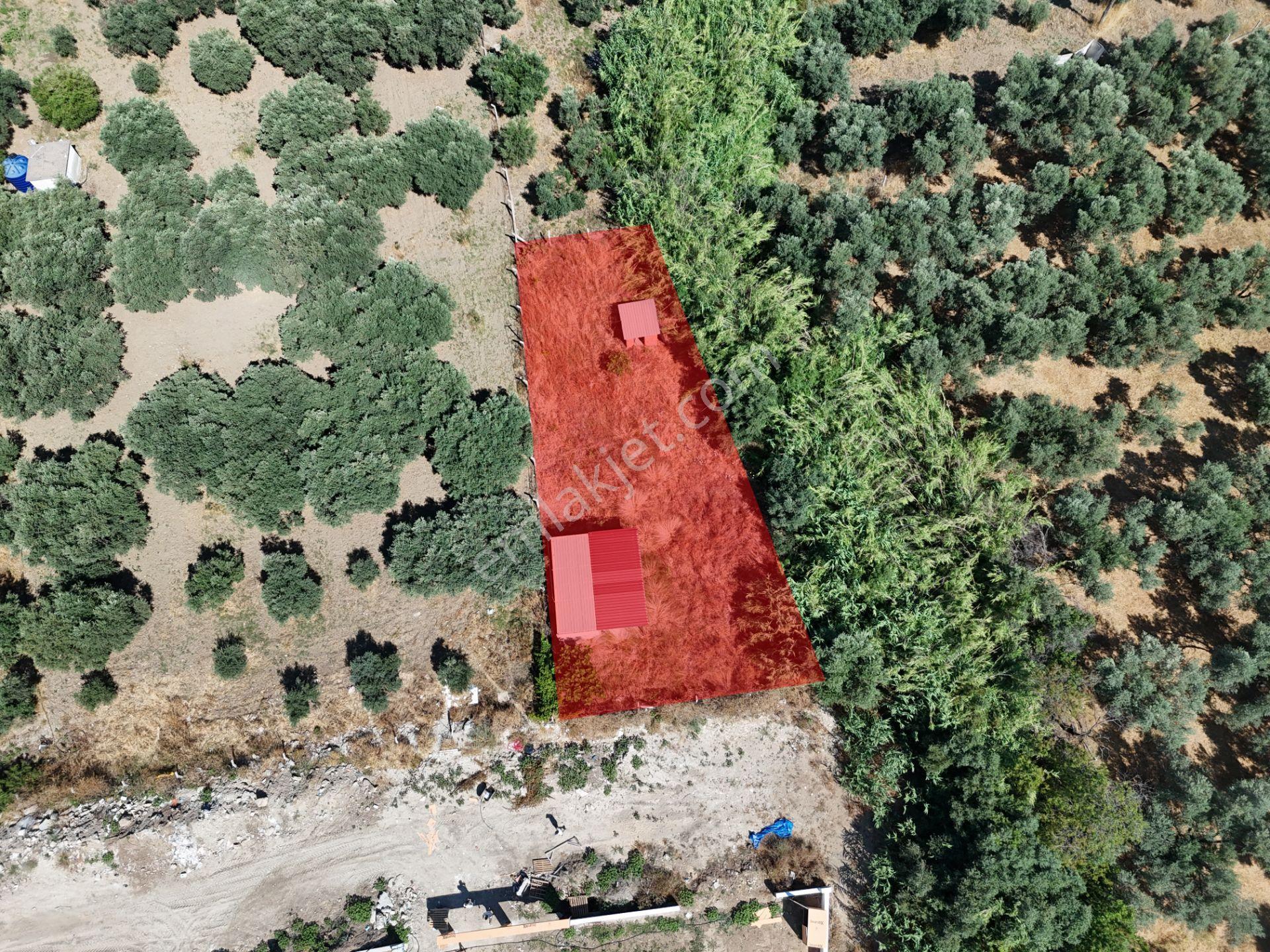 Kuşadası Bahçecik Boğazı Mevkii, Tek Tapulu 648 M² Fırsat Tarla - Görsel 4