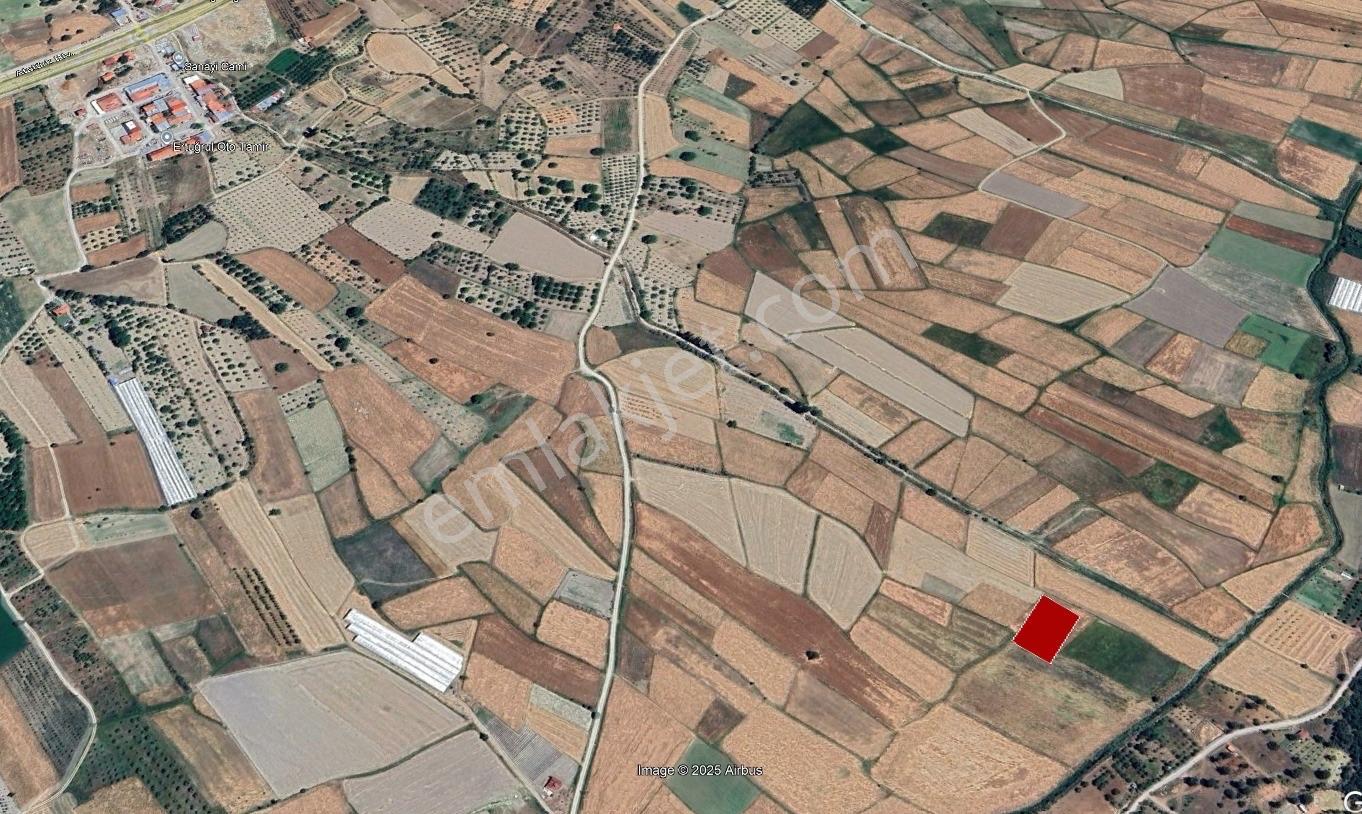 Çameli Belevi Mahallesi’nde Yatırımlık Tarla – 2.203 M² - Görsel 4