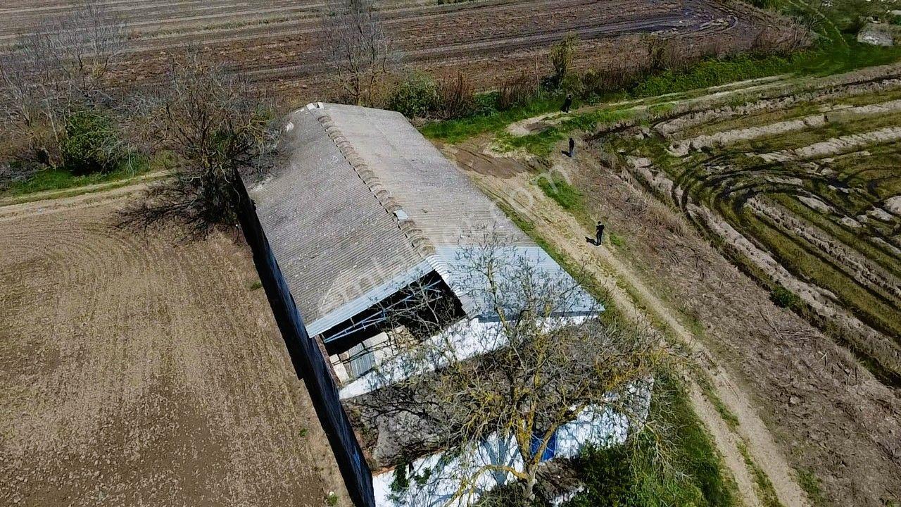 Era Söz'den Manyas'ta 3.124m2 K.tavukhane(300m2) Ve Tarla - Görsel 5