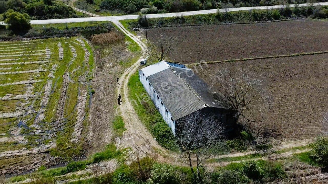 Era Söz'den Manyas'ta 3.124m2 K.tavukhane(300m2) Ve Tarla - Görsel 15