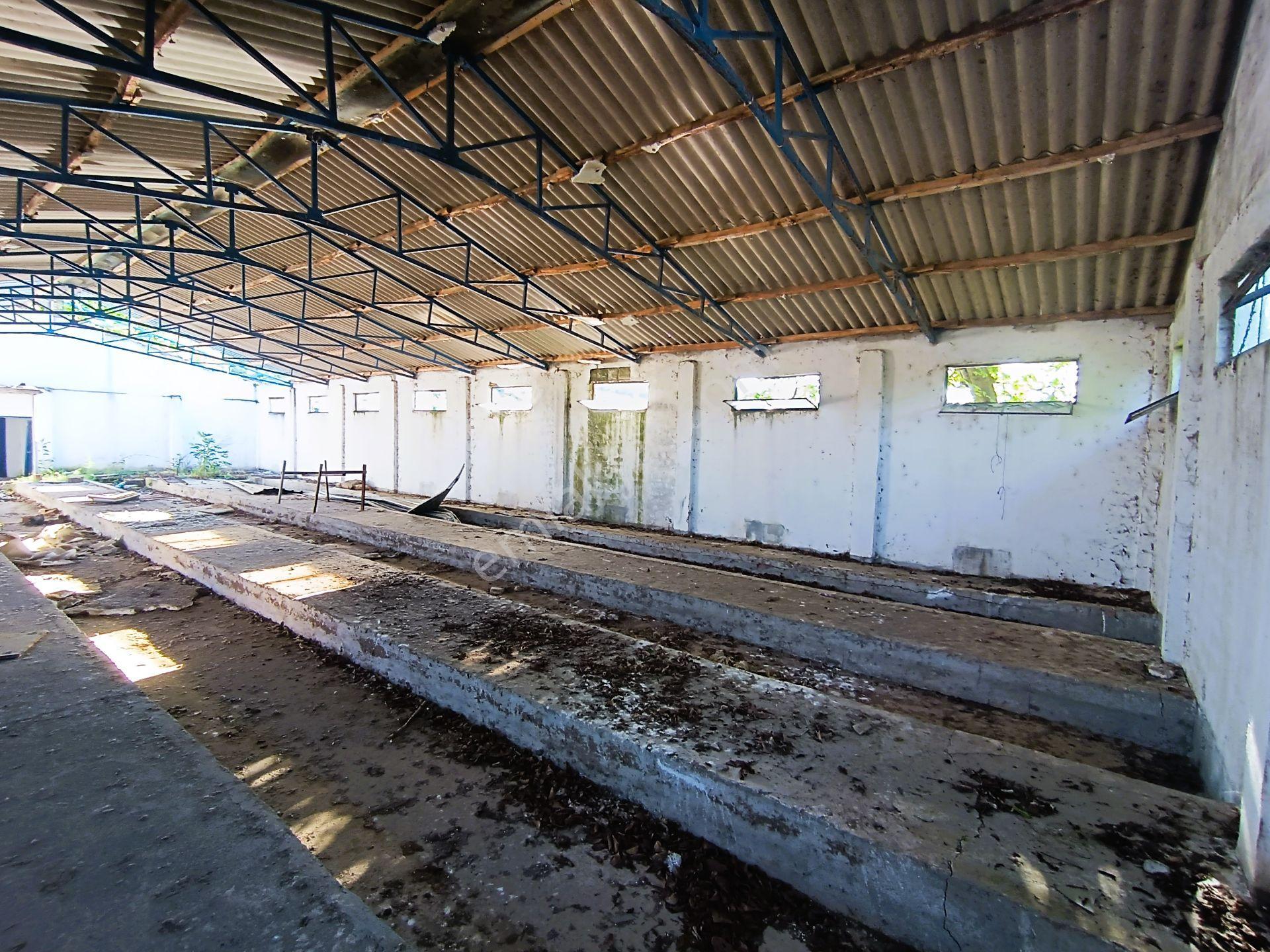 Era Söz'den Manyas'ta 3.124m2 K.tavukhane(300m2) Ve Tarla - Görsel 24