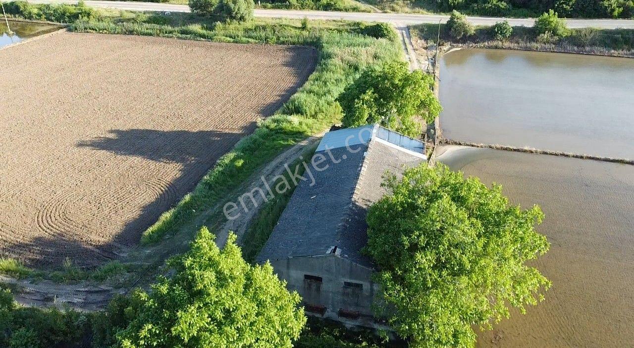 Era Söz'den Manyas'ta 3.124m2 K.tavukhane(300m2) Ve Tarla - Görsel 22