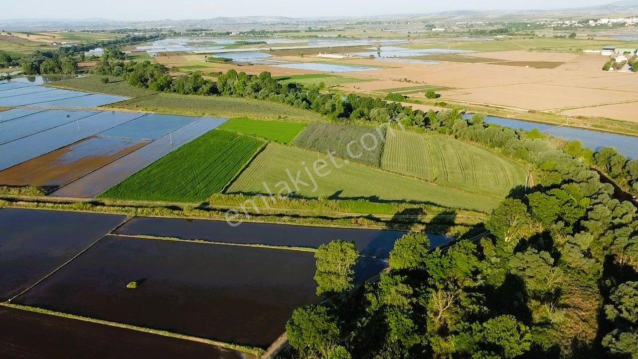 Era Söz'den Manyas'ta Dere Kenarı Ulaşımı Kolay Sulak Tarla - Görsel 3