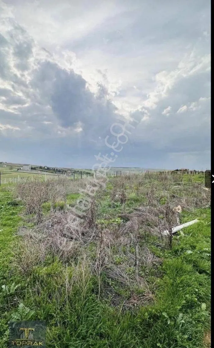 Tekirdağ Marmara Ereğlisi Çeşmeli Mahallesinde Satılık Parseller - Görsel 2