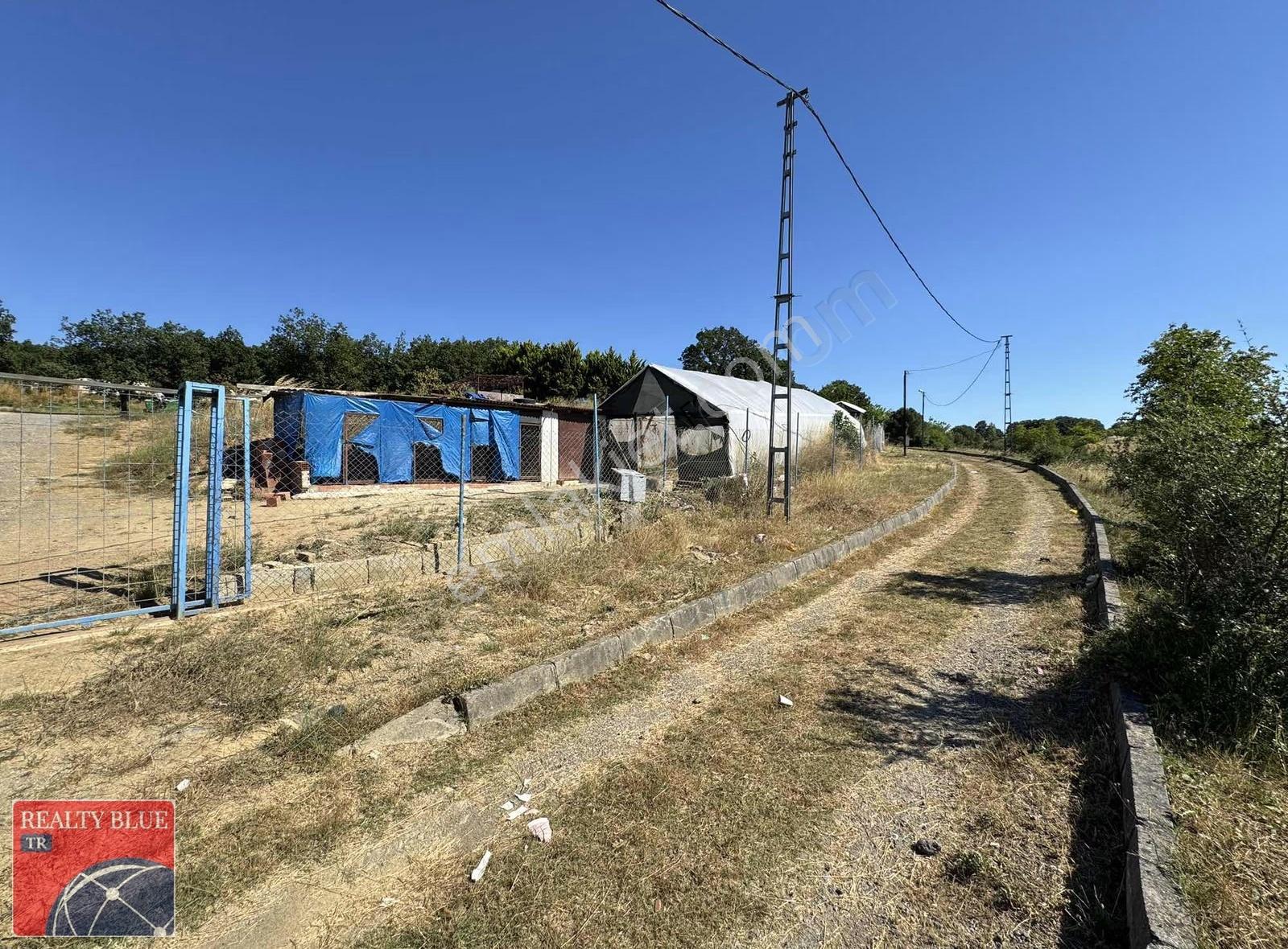 Pendik Kurtdoğmuş'ta Satılık 873m² Etrafı Çevrili Hobi Bahçesi - Görsel 22