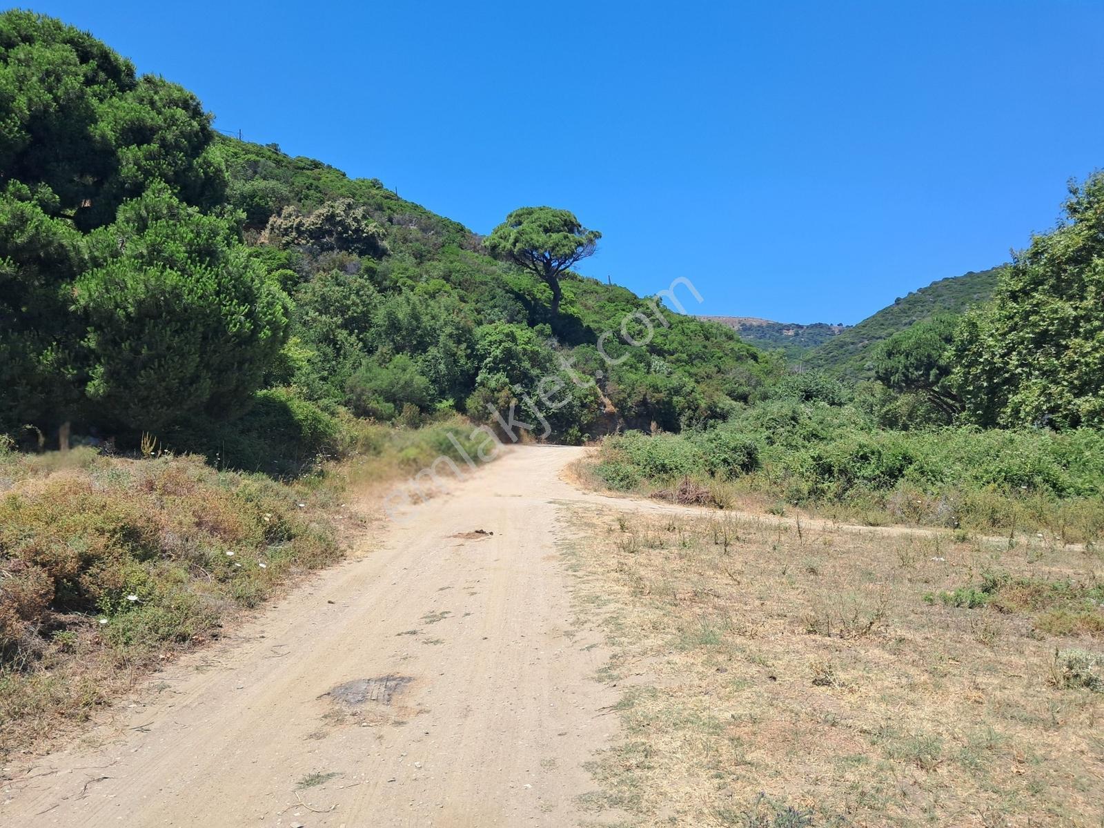 Marmara Adası Topağaç Köyü Anayola Yakın Yatırımlık Tarla - Görsel 13