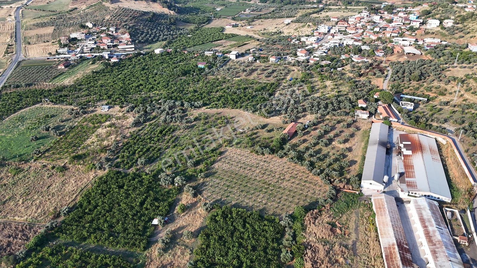 Kemalpaşa Gökçeyurt Satılık Bağ Ve Besi Damı - Görsel 8