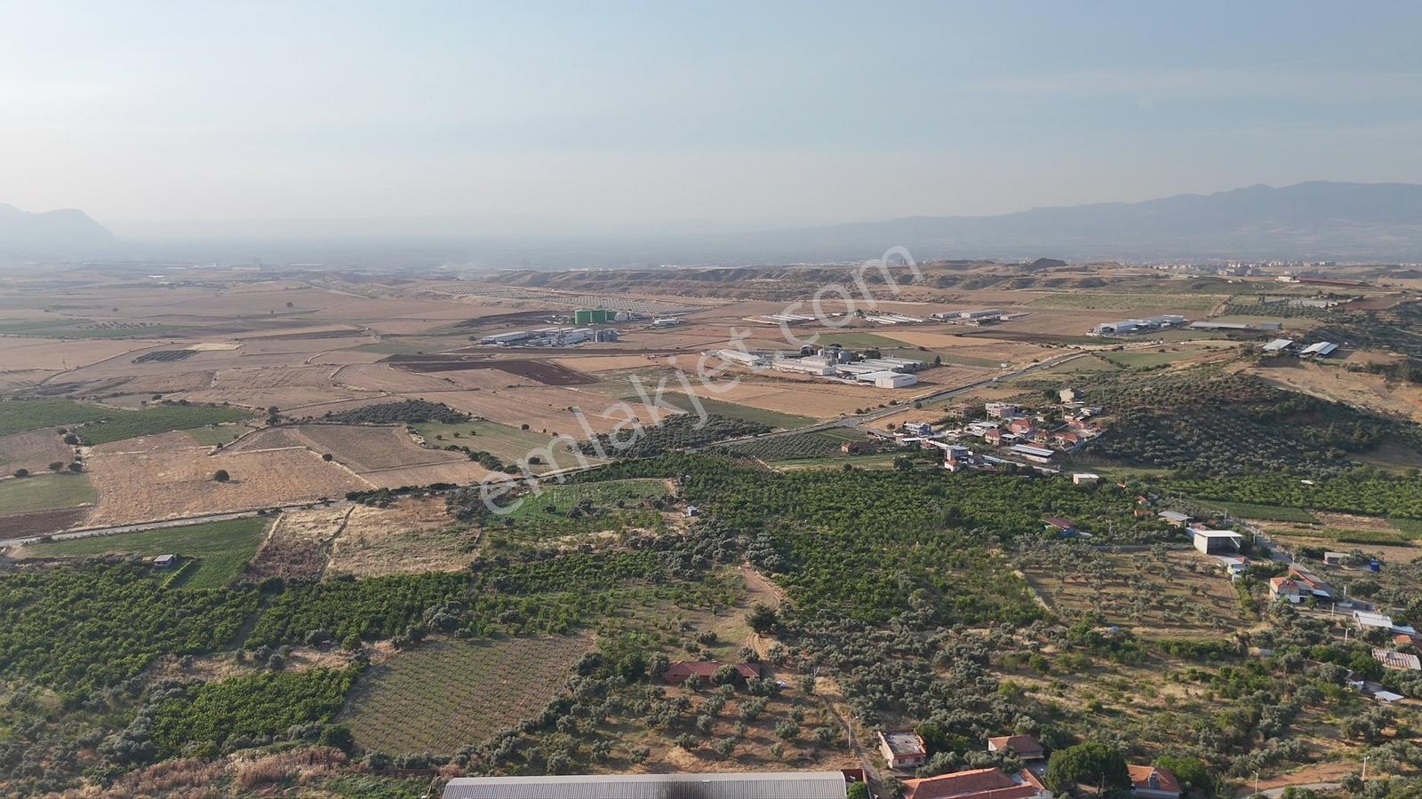 Kemalpaşa Gökçeyurt Satılık Bağ Ve Besi Damı - Görsel 2