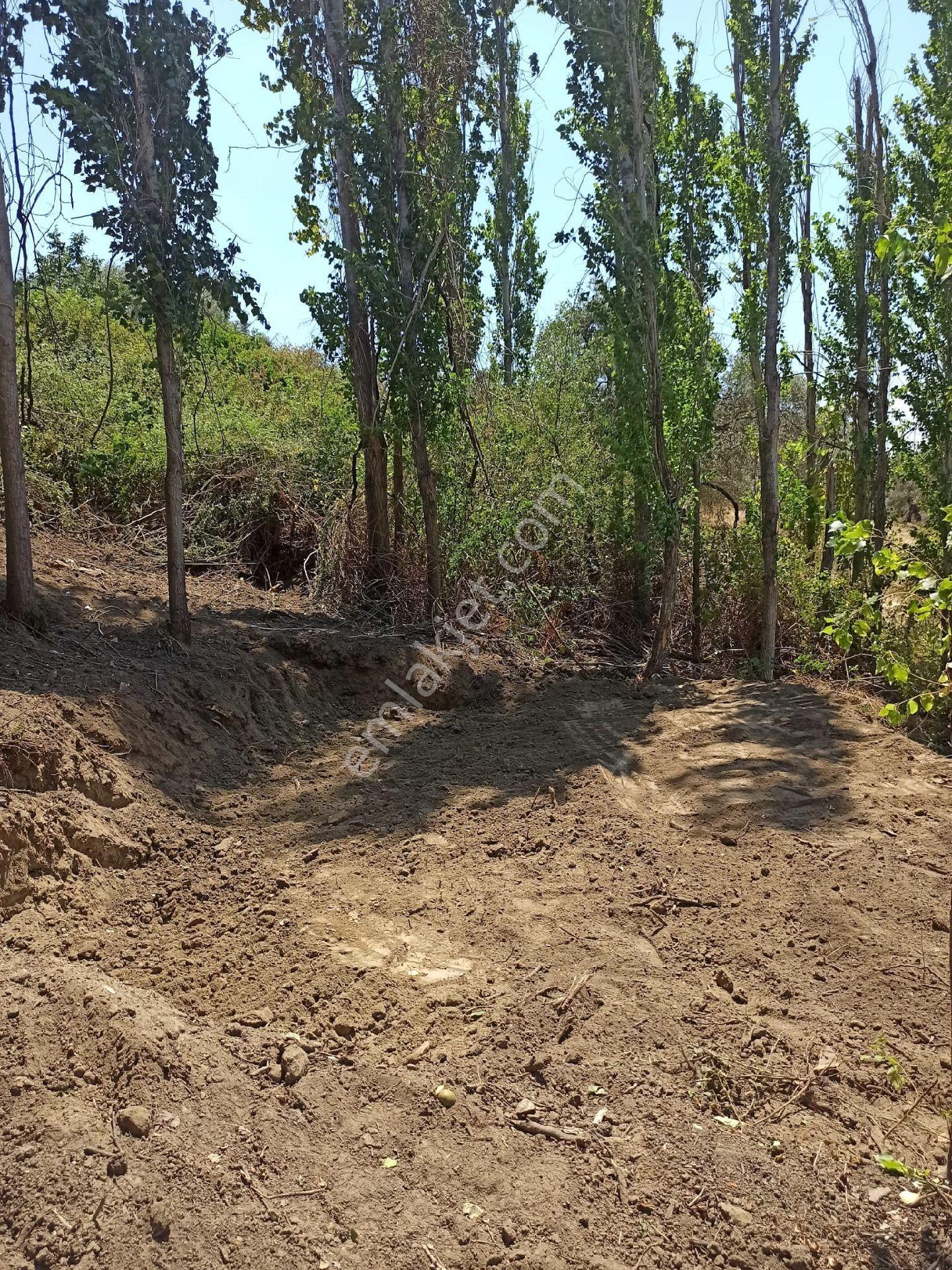 Doğa Gayrimenkul'den İzmir'de Kaçırılmayacak Fırsatı - Görsel 6