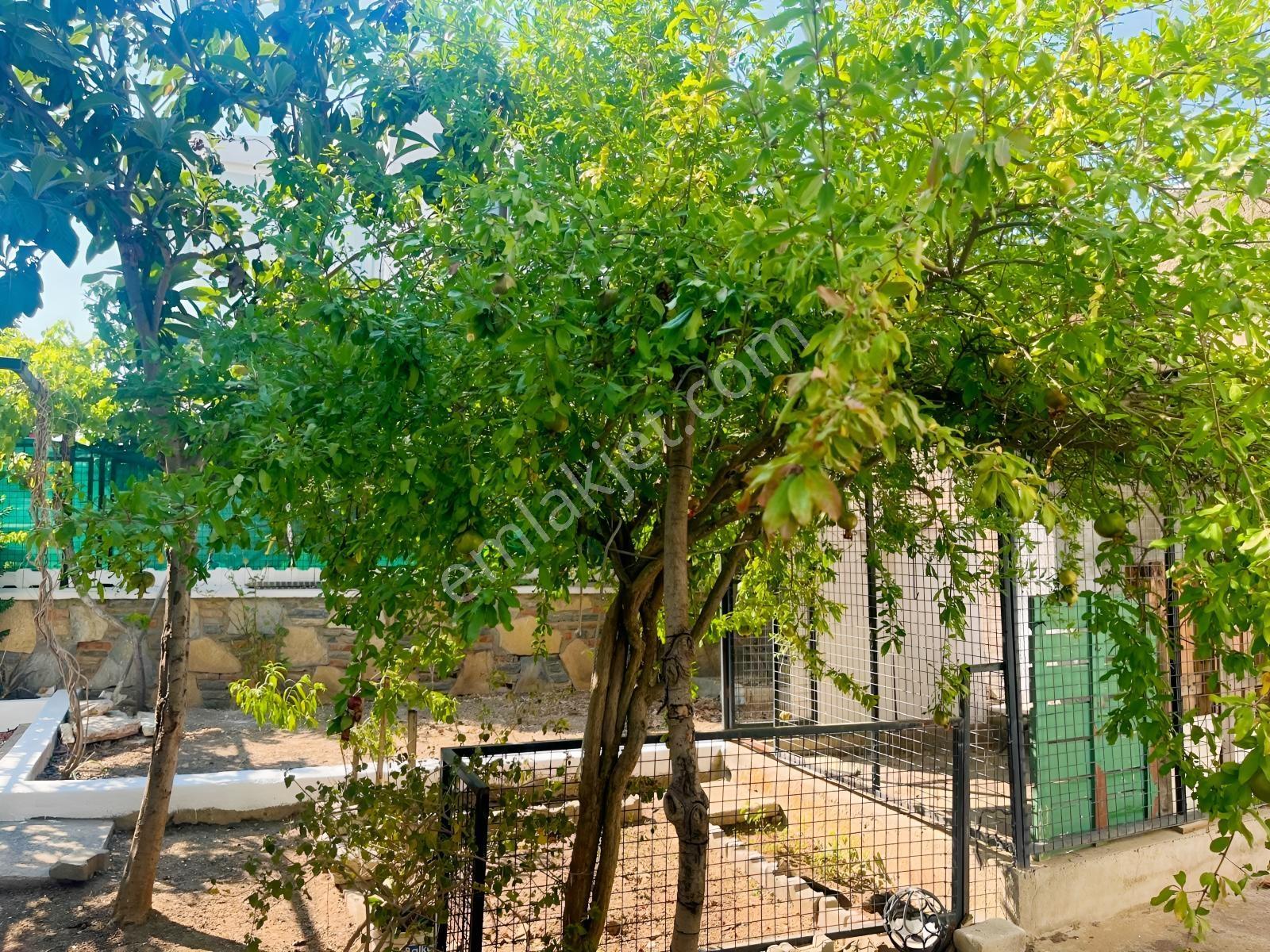 Bodrum Eskiçeşmede Satılık Müstakil Ev - Görsel 33