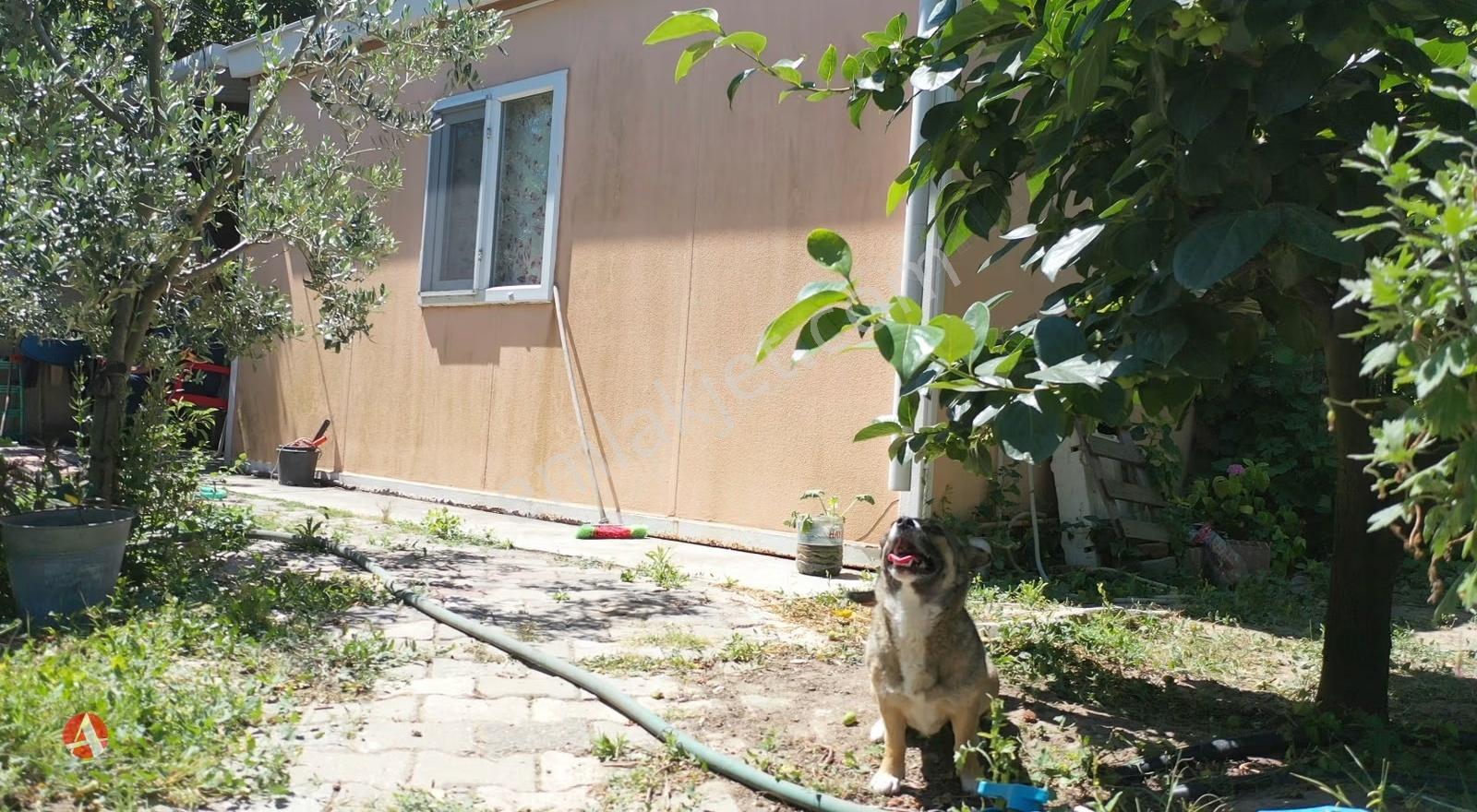 Çanakkale, Lapseki, Çardak, Villa İmarlı Köşe Parsel - Görsel 9