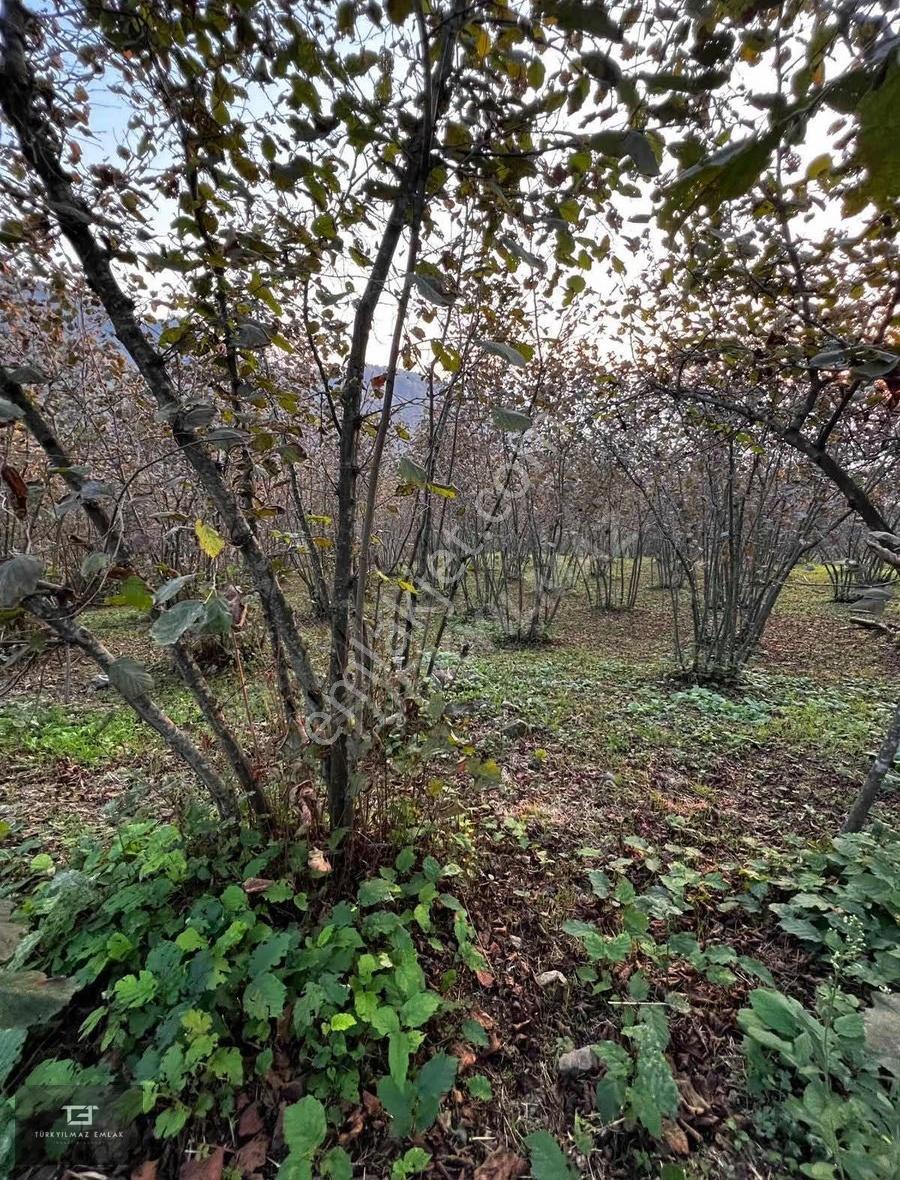 Güzlekte Manzaralı Köy İçi İmarlı Arsa - Görsel 5