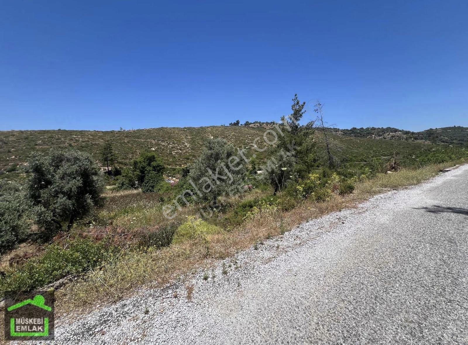 Bodrum Gökpınar Köyünde Satılık Tiny House Arsası - Görsel 6