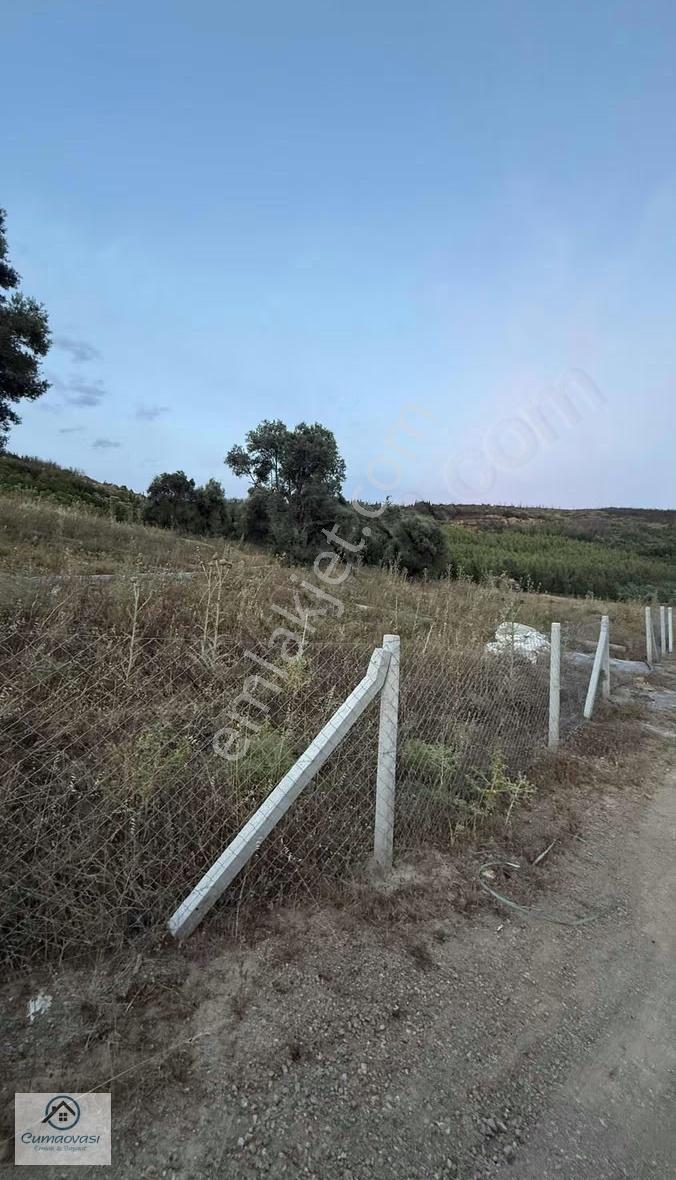 Cumaovası Emlaktan Satılık Seferihisar Atatürk Mah.225 M2 Bahçe - Görsel 8