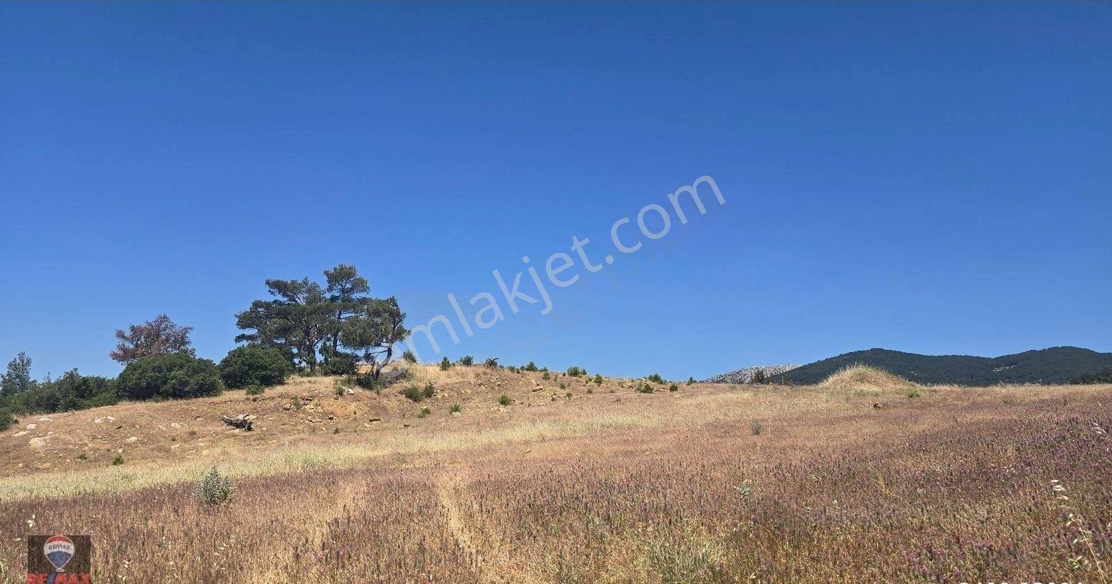 Spil Dağı Eteklerinde, Doğal Yaşam Ve Üretim İçin Uygun 10.322 M² Tarla - Görsel 4