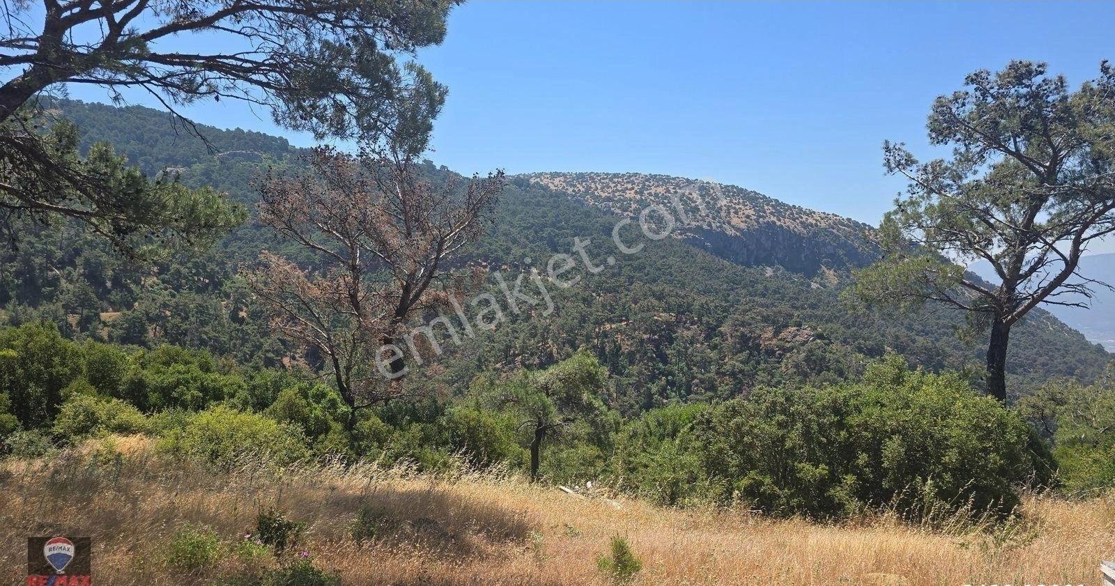Beşpınar'da Doğayla İç İçe, Suyu Olan Ve Üretime Uygun 9.986 M² Tarla - Görsel 11