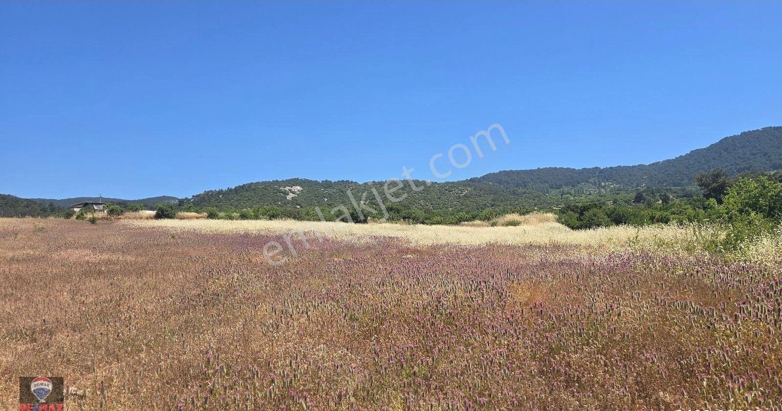 Beşpınar'da Doğayla İç İçe, Suyu Olan Ve Üretime Uygun 9.986 M² Tarla - Görsel 9