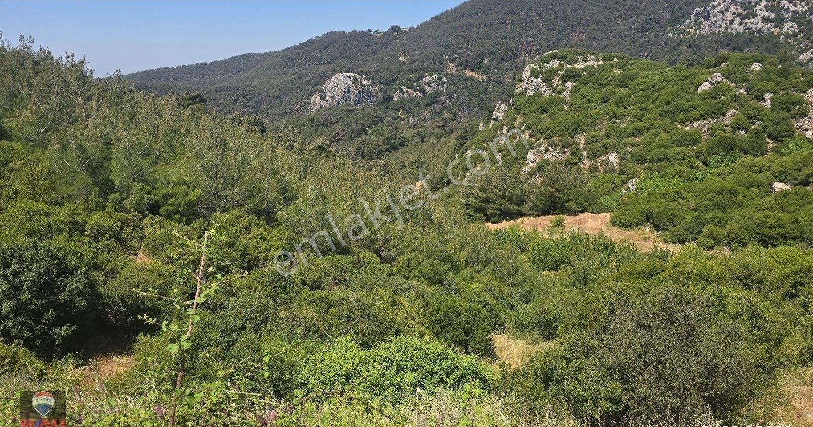 Beşpınar'da Doğayla İç İçe, Suyu Olan Ve Üretime Uygun 9.986 M² Tarla - Görsel 8