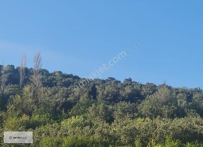 Çınarcık Şenköy'de Deniz Ve Doğa Manzaralı Satılık Tarla - Görsel 12