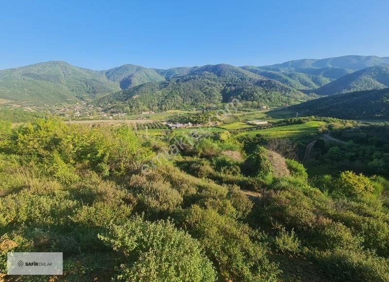 Çınarcık Şenköy'de Deniz Ve Doğa Manzaralı Satılık Tarla - Görsel 4
