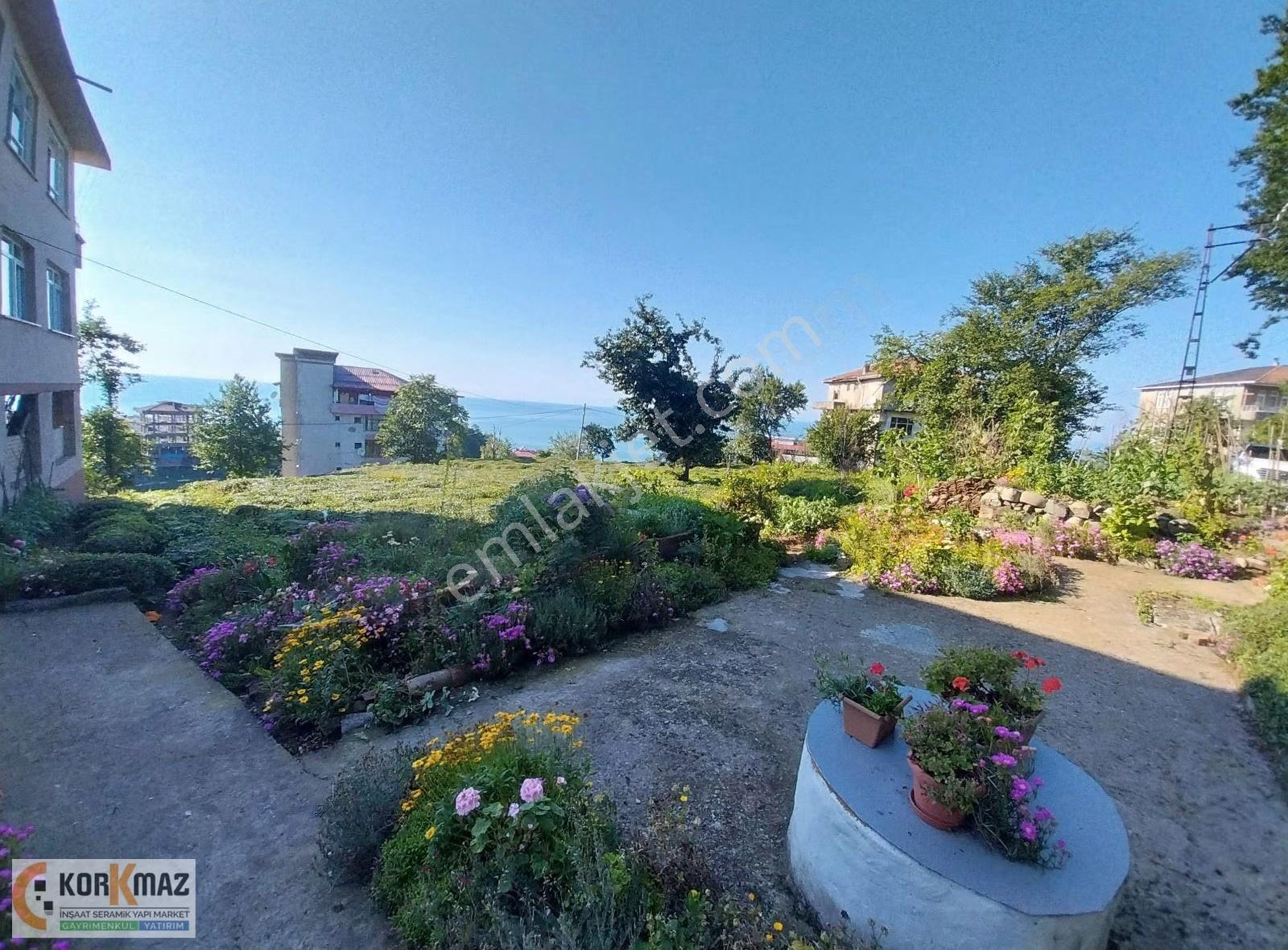 Rize'nin En Gözde Yerinde Düz Arazı Full Deniz Ve Doğa Manzaralı - Görsel 8