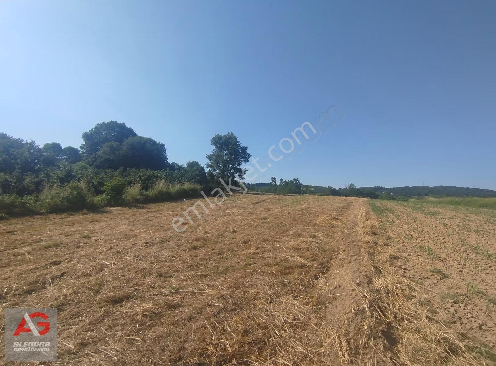 Alemdar Gayrimenkul Hendek A.çalıca Acil Satlık 4550 M2 Tarla - Görsel 4