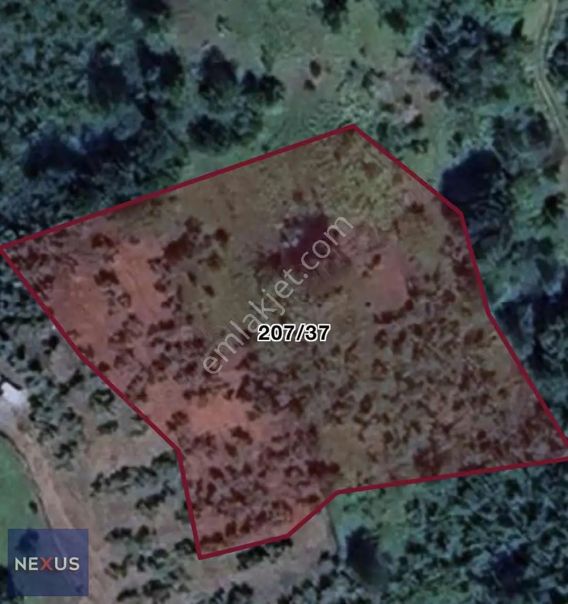 Düzce Yığılca Karakaş Köyünde Satılık 3241 M2 Tarla