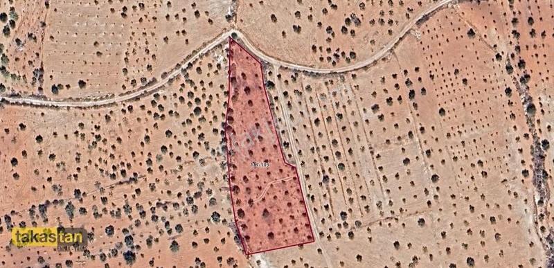 Aşağı Arıl'da Resmi Yola Sıfır, 4783m² Yatırımlık Fırsat Arazi - Görsel 2