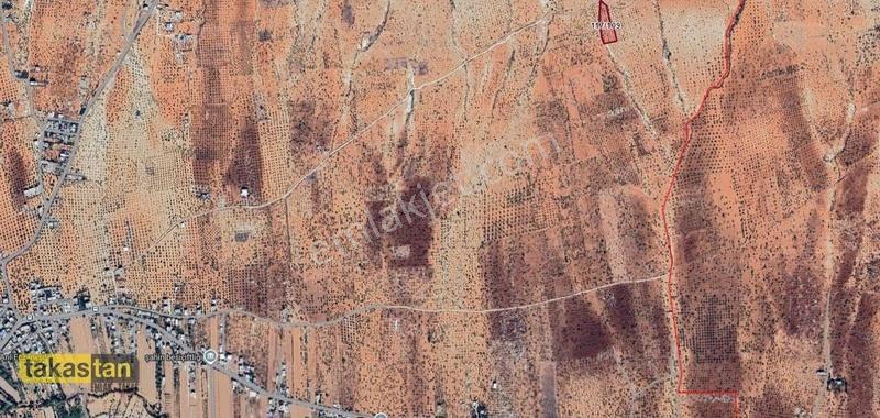 Aşağı Arıl'da Resmi Yola Sıfır, 4783m² Yatırımlık Fırsat Arazi - Görsel 3