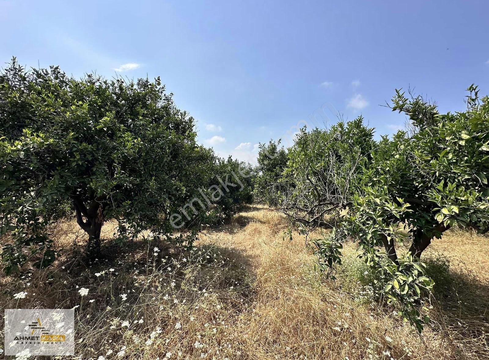 Ahmet Kara'dan Demirhisar Mah.de Satılık 8058 M² Arazi - Görsel 10
