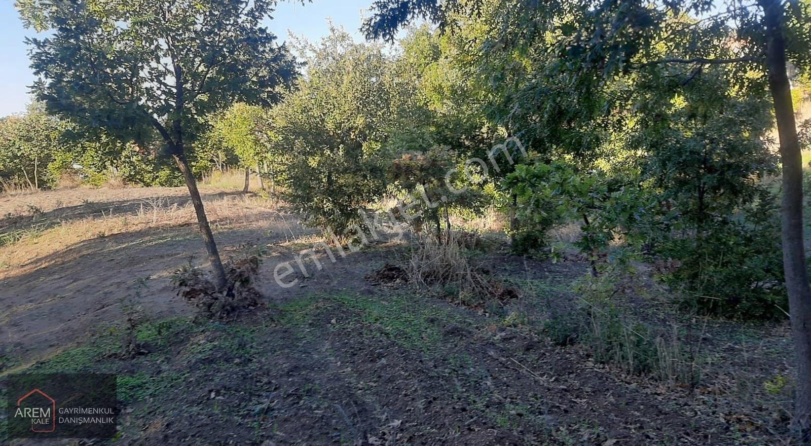 Biga Koruoba'da Köy Yerleşik Alanında 2.017 M² Arsa - Görsel 2