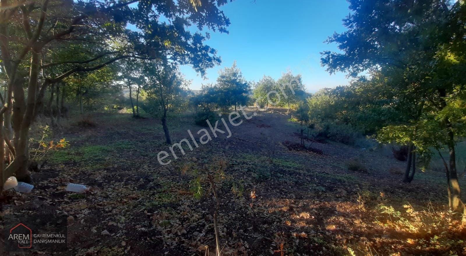 Biga Koruoba'da Köy Yerleşik Alanında 2.017 M² Arsa - Görsel 3
