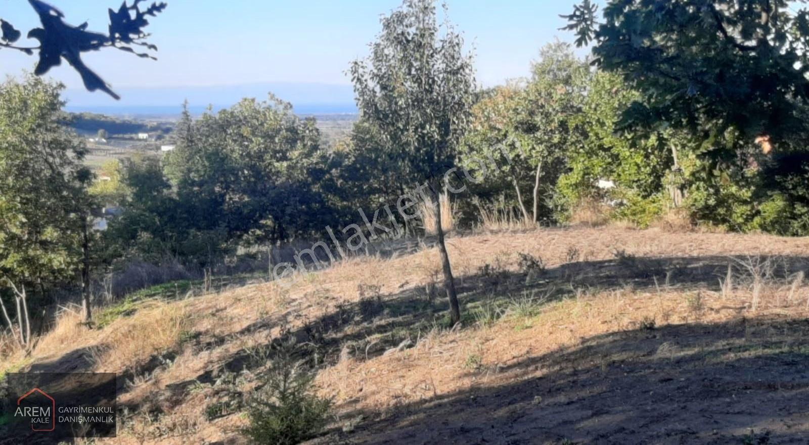 Biga Koruoba'da Köy Yerleşik Alanında 2.017 M² Arsa - Görsel 4