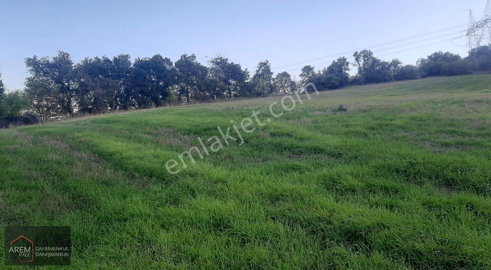 Deniz Manzaralı 13.035 M² Dev Yatırımlık Tarla | Biga Koruoba - Görsel 7
