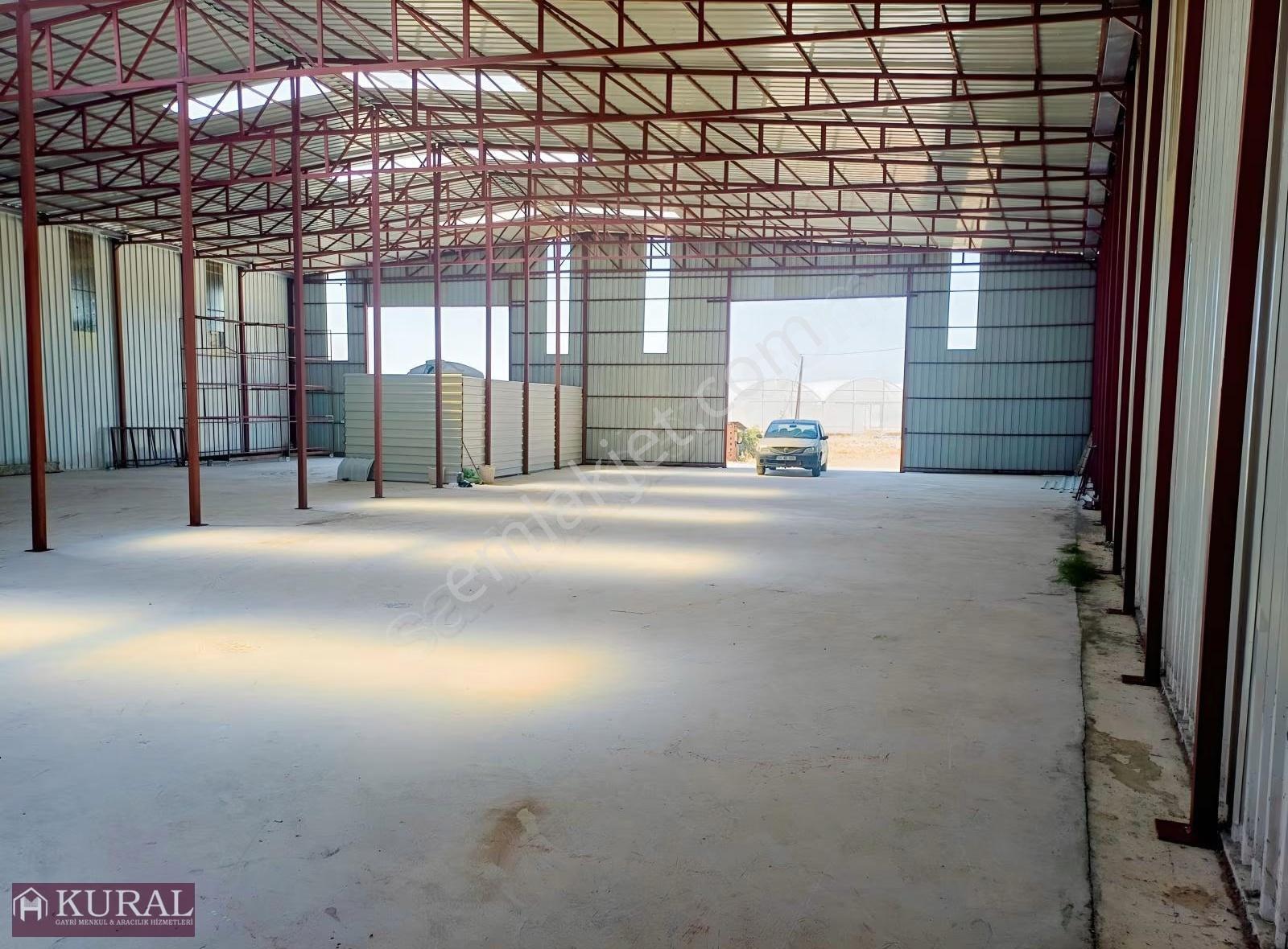 İzmir Menderes Kısık Da 2 Tane 400+500 M2 Elektrik+su Wc Li - Görsel 25