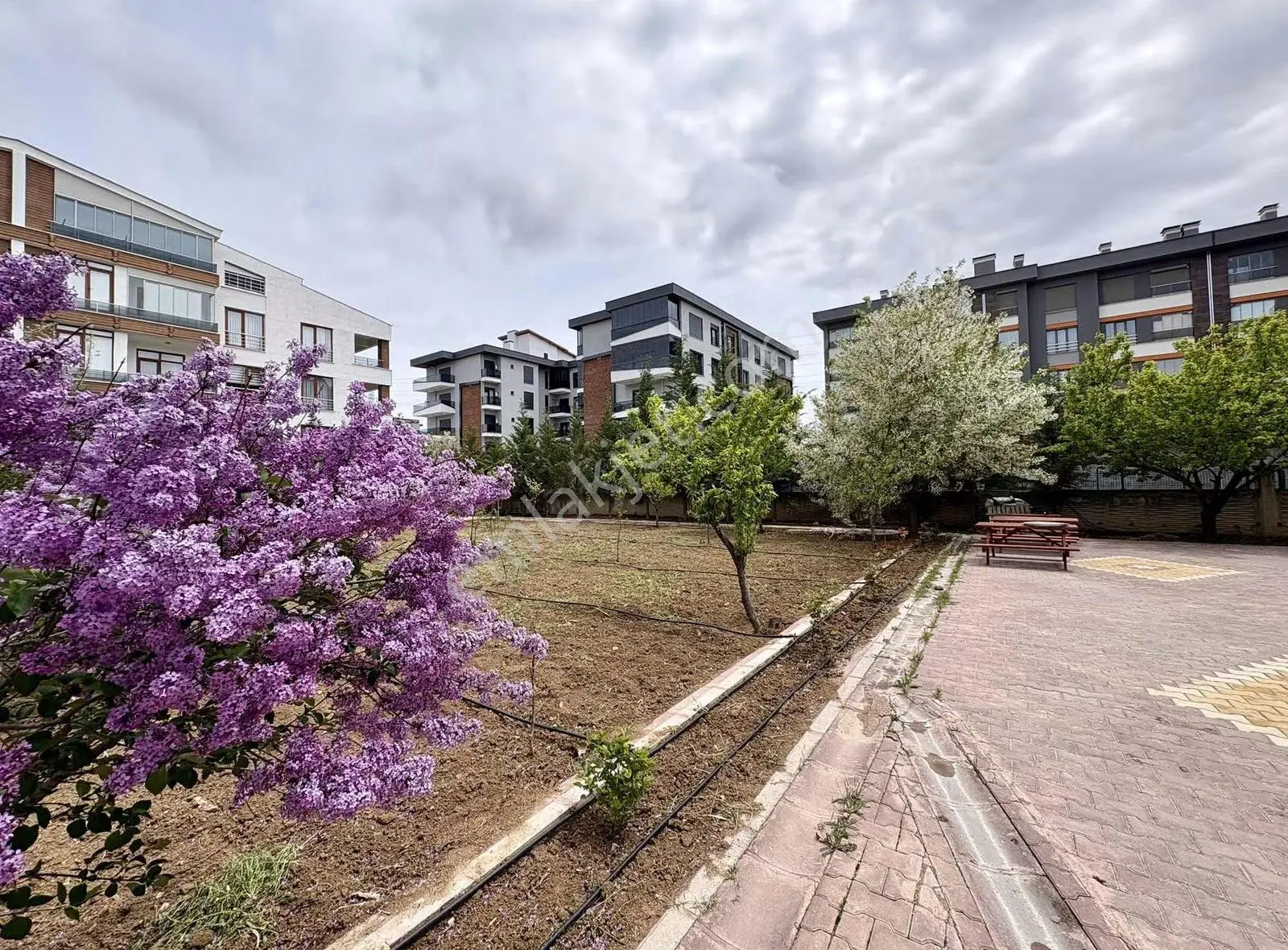 Özlem Yardımcı'dan Selahaddin Eyyübi 'de Kiralık Daire - Görsel 10