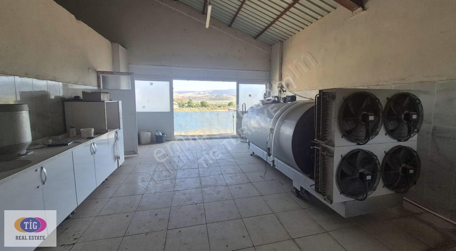Tek İşim Gayrimenkul'den Yenişehir Marmarıcakta Satılık Çiftlik - Görsel 34