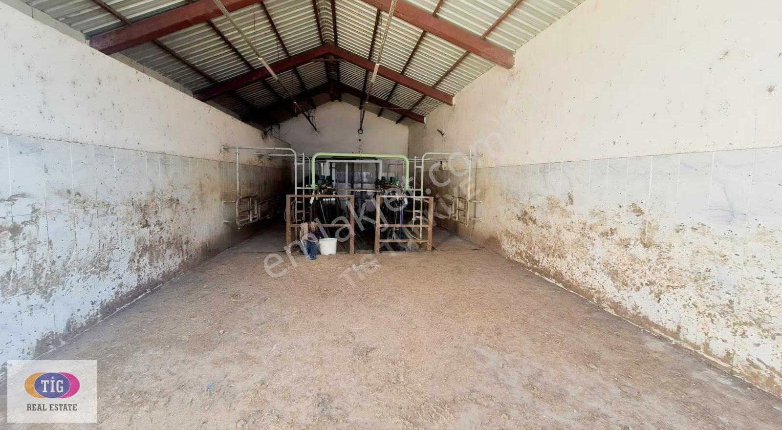 Tek İşim Gayrimenkul'den Yenişehir Marmarıcakta Satılık Çiftlik - Görsel 28