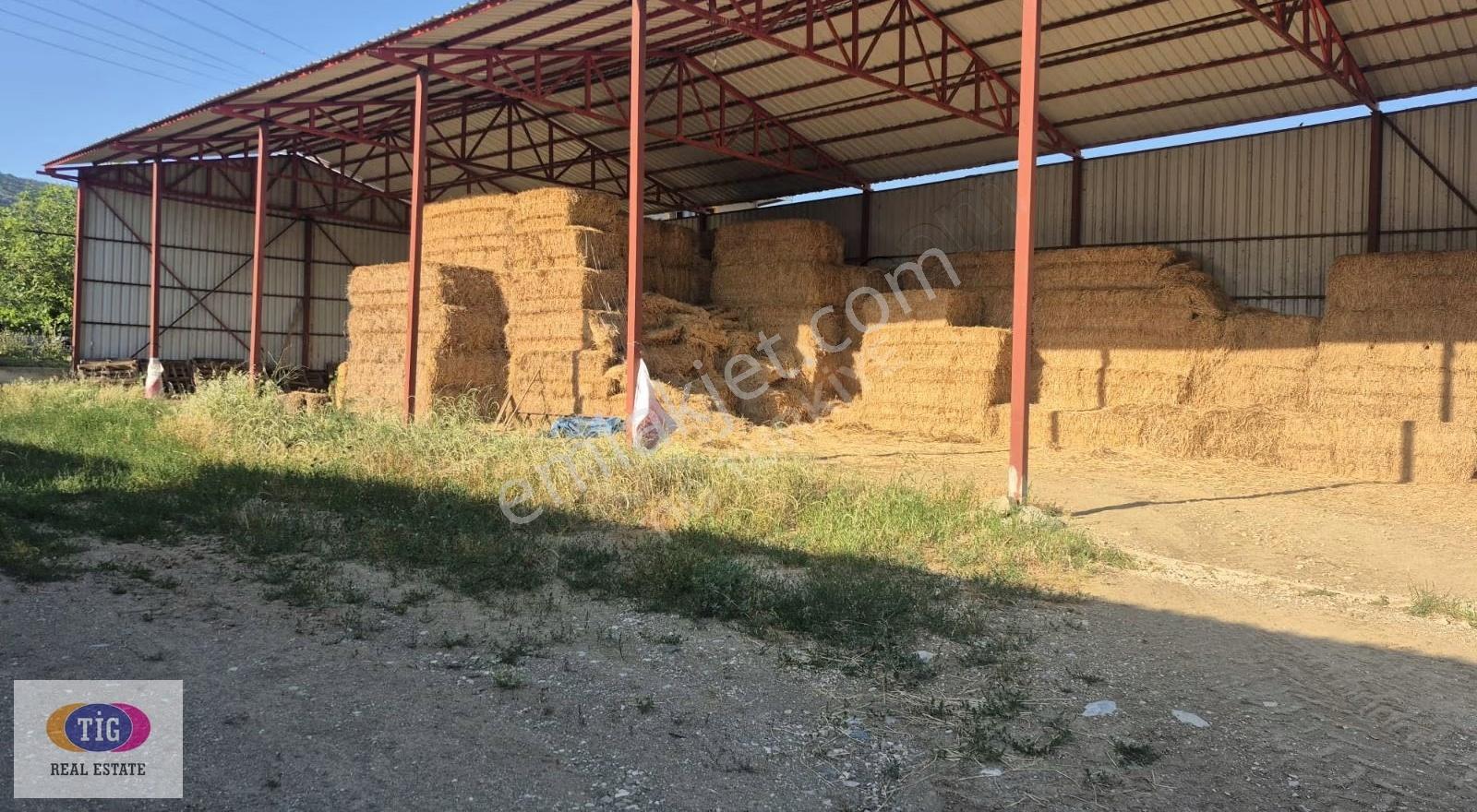 Tek İşim Gayrimenkul'den Yenişehir Marmarıcakta Satılık Çiftlik - Görsel 15