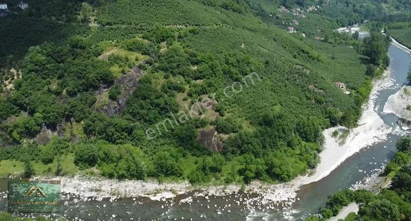 Anadolu'dan Güzelyalıköyünde Satılık 13 Dönüm Bahçe - Görsel 4