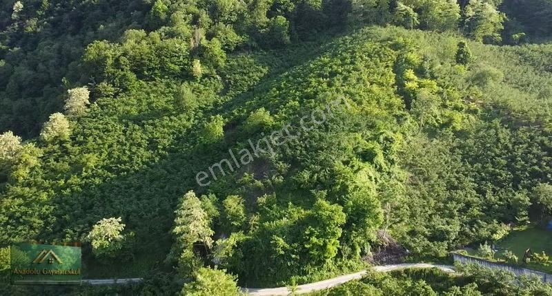 Anadolu'dan Cevizlik Mahallesi'nde Satılık 7 Dönüm - Görsel 6